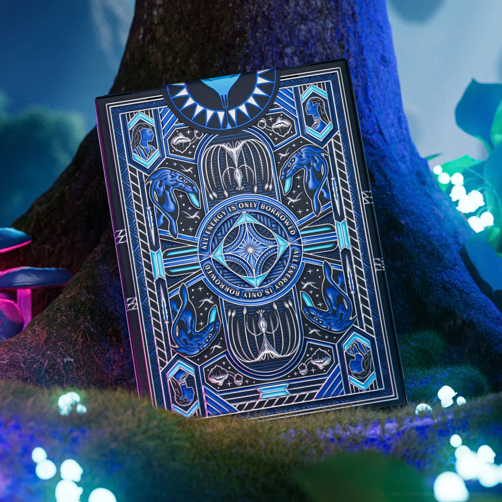 Thumbnail 3