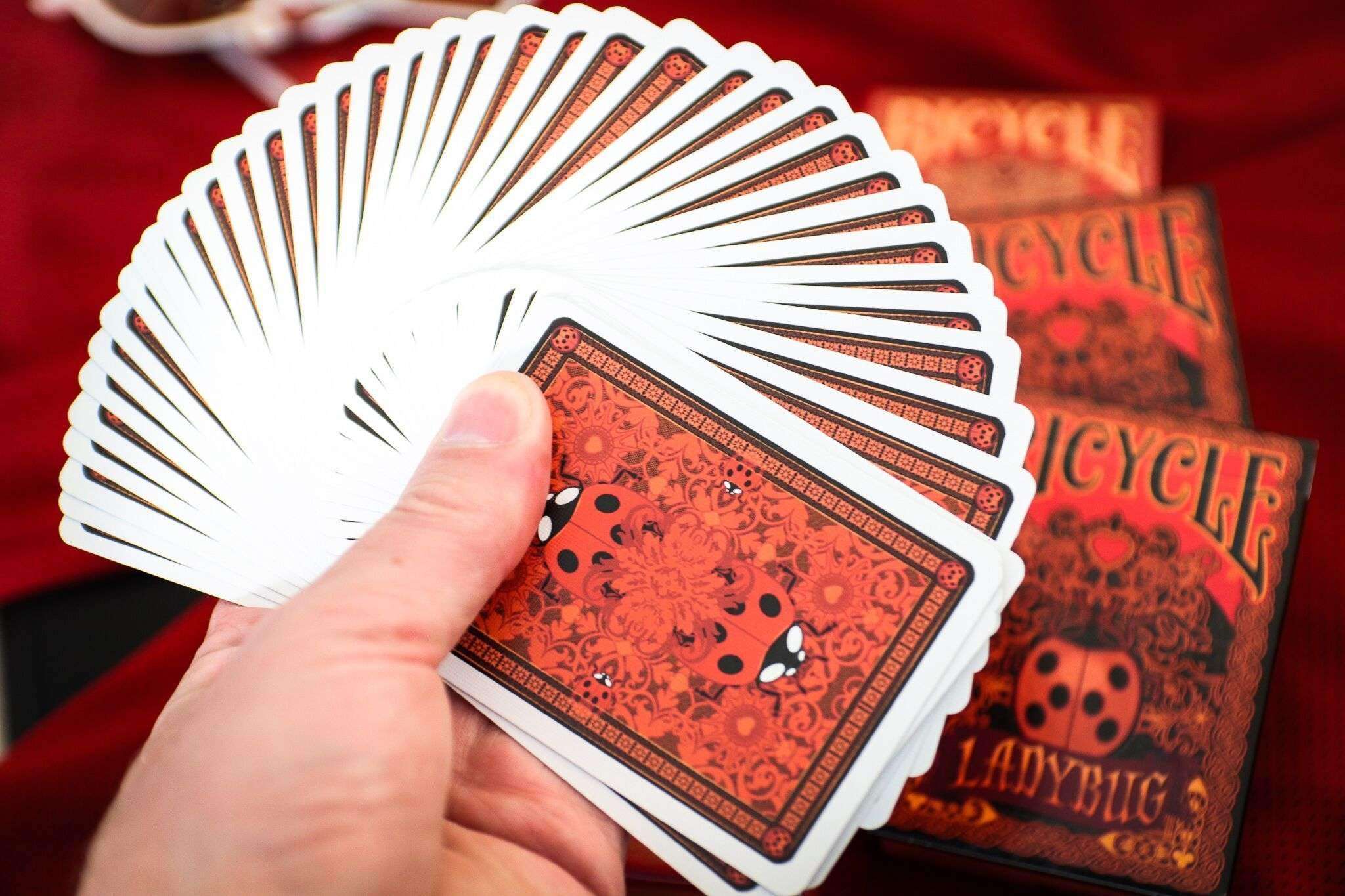 Thumbnail 11