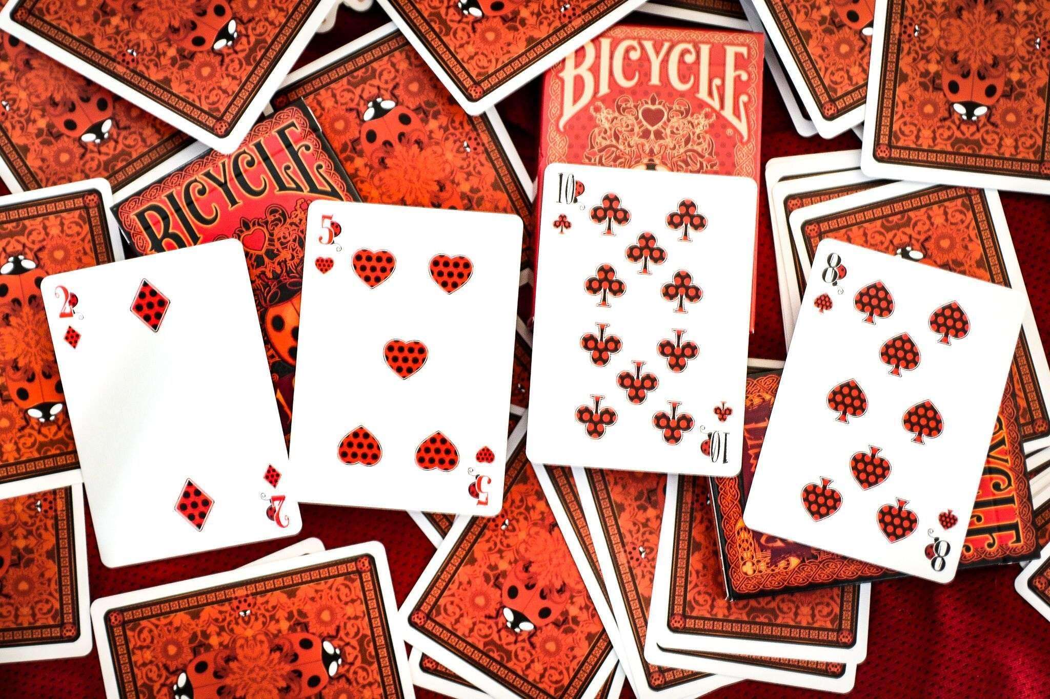 Thumbnail 8