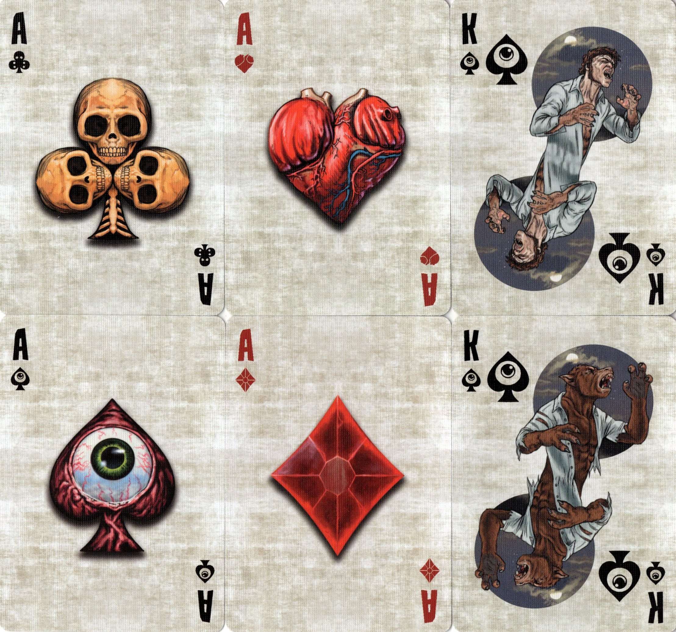 Thumbnail 5