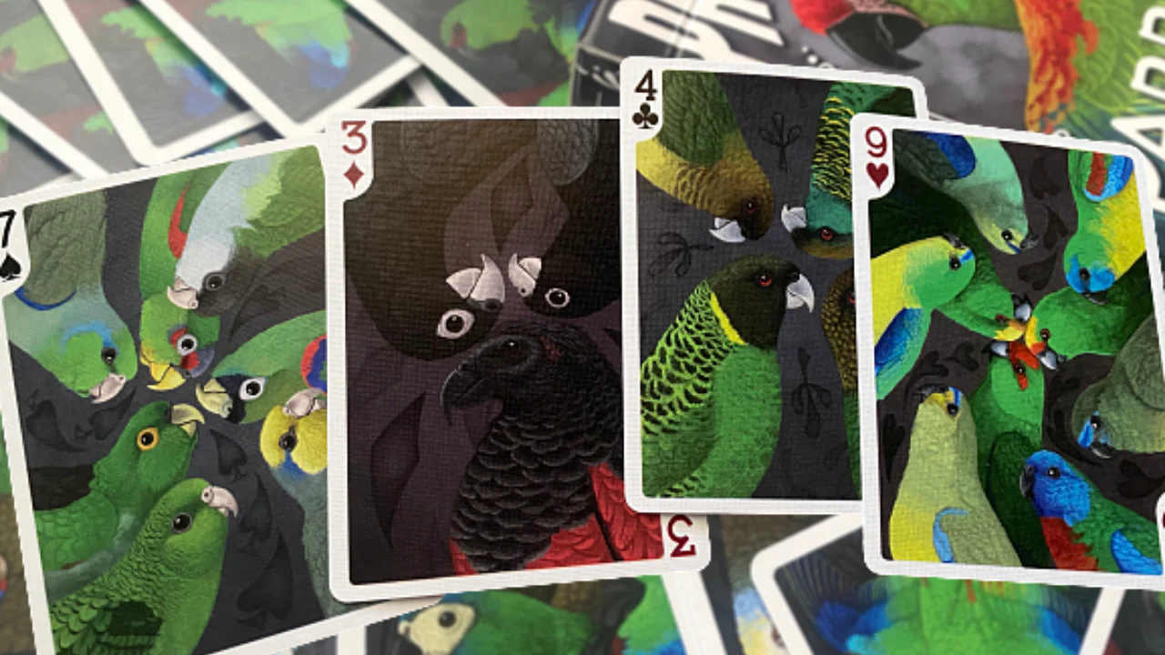 Thumbnail 8