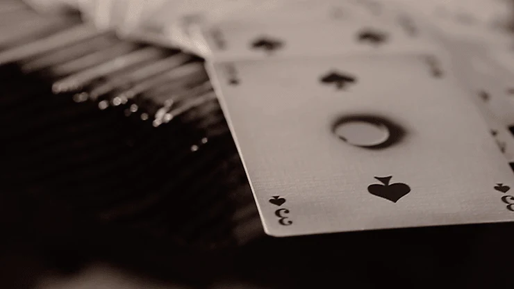 Thumbnail 12
