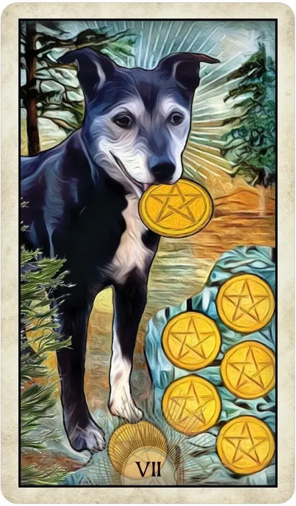 Thumbnail 8